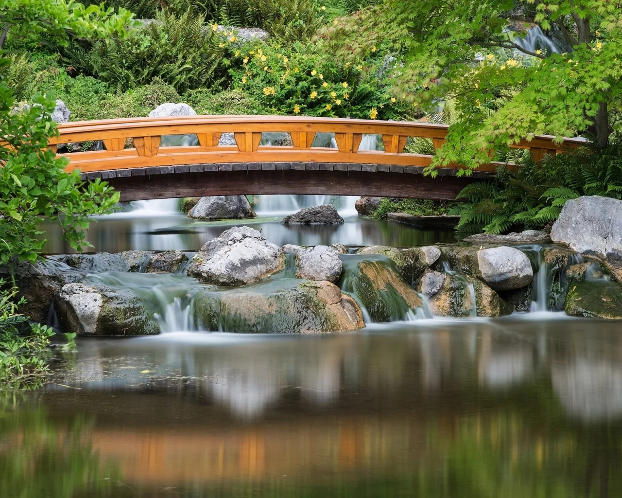 вена, japanese garden, vienna, австрия, setagaya park, японский сад, austria