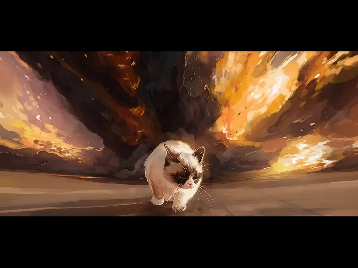 grumpy cat, походка, фон, угрюмый кот, тард, взрыв