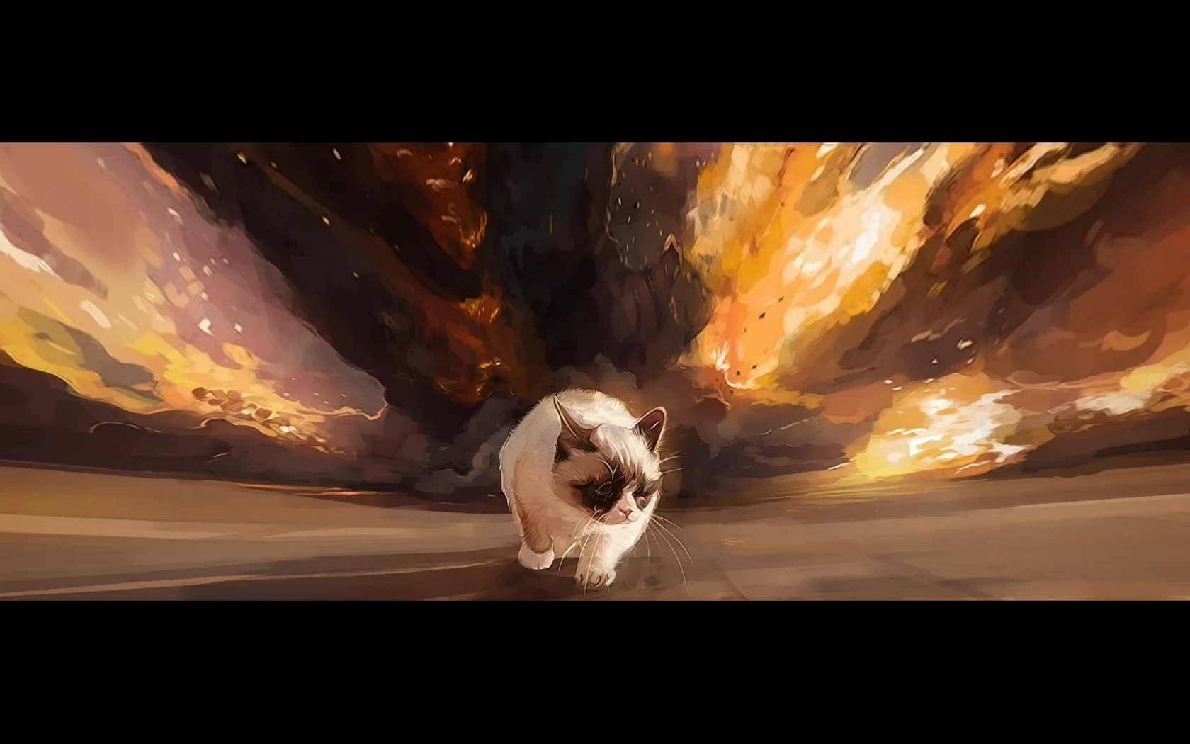 grumpy cat, походка, фон, угрюмый кот, тард, взрыв
