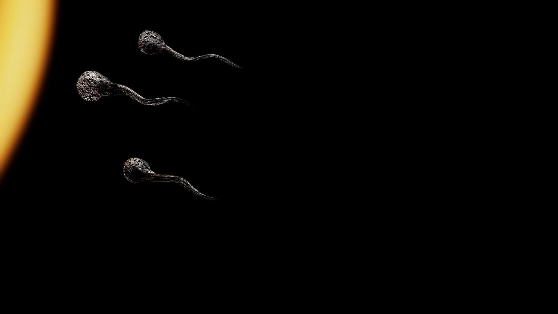 Сперматозоид на черном фоне