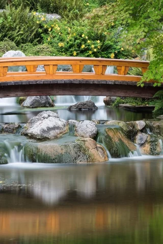 вена, japanese garden, vienna, австрия, setagaya park, японский сад, austria