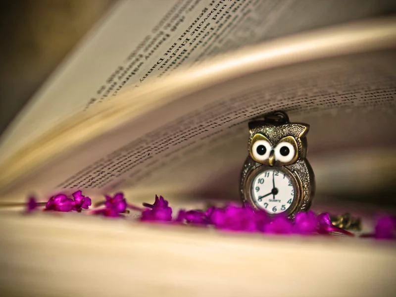 сова, сиреневые, книга, часы, цветы, кулон, страницы