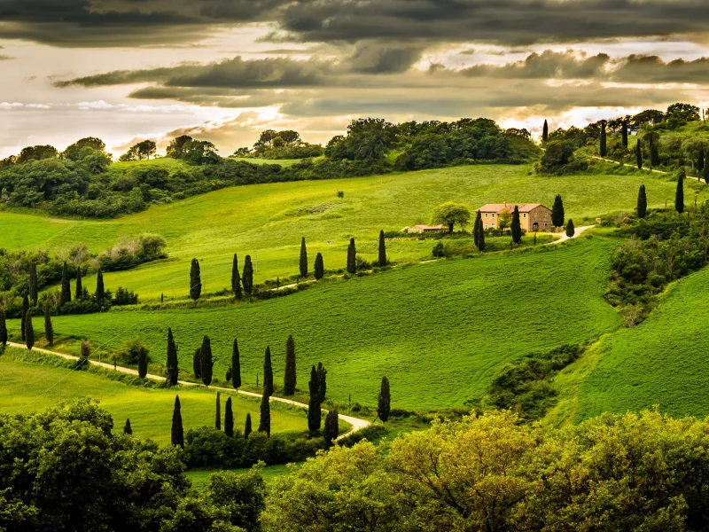 italy, зелень, холм, италия, umbria, умбрия, деревья, italia, дом