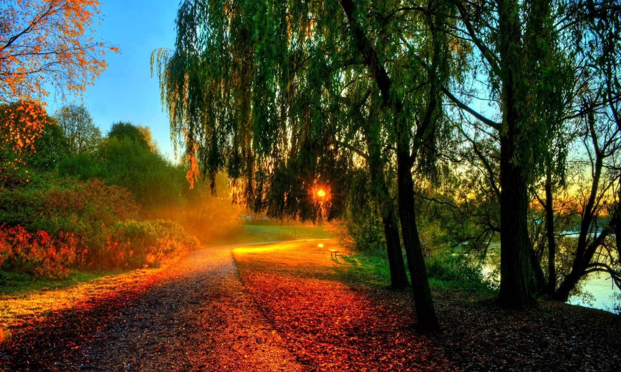 hdr, walk, sun, sunset, nature, bench, autumn, water, trees, river, forest, rays, leaves