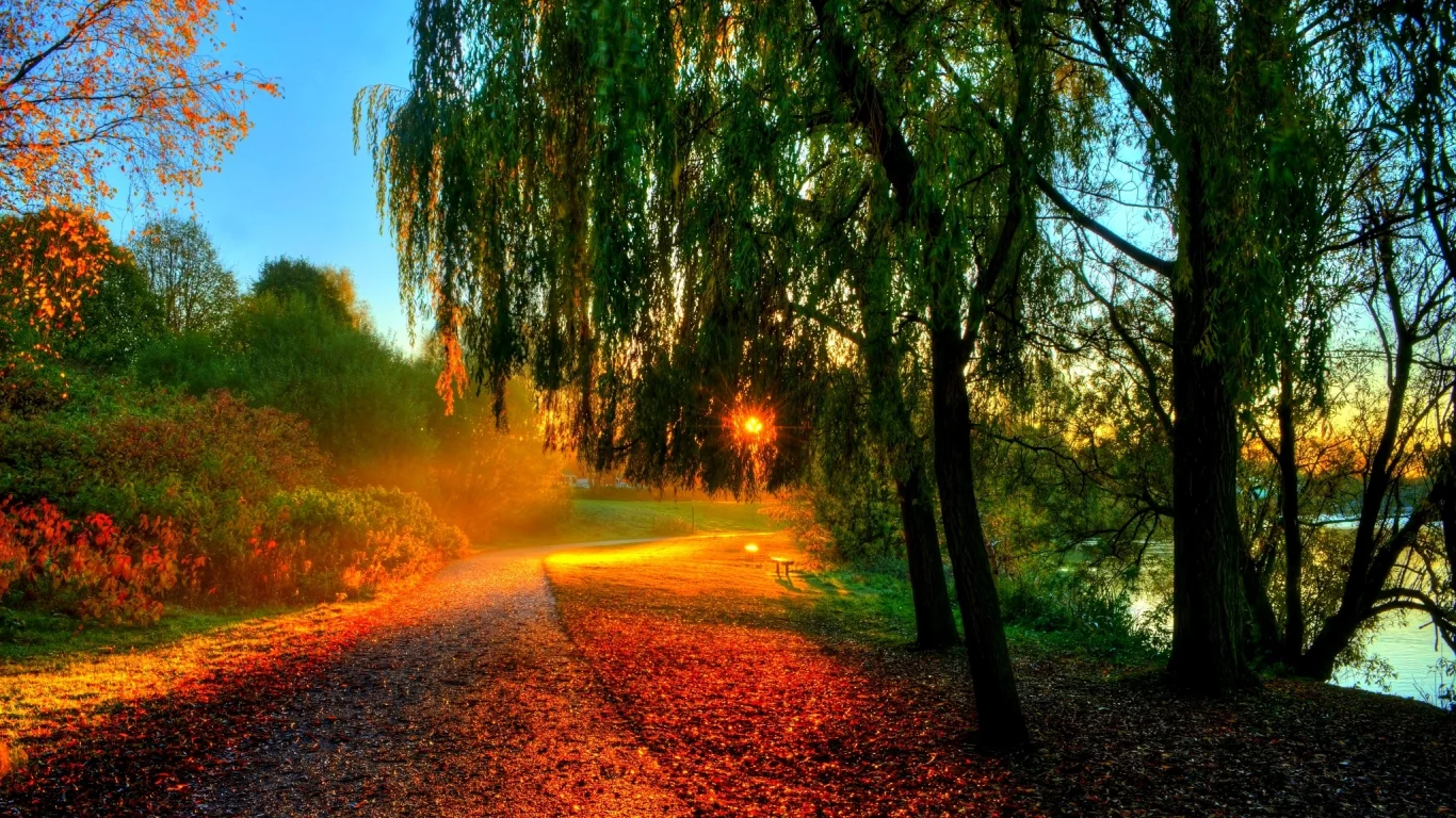 hdr, walk, sun, sunset, nature, bench, autumn, water, trees, river, forest, rays, leaves
