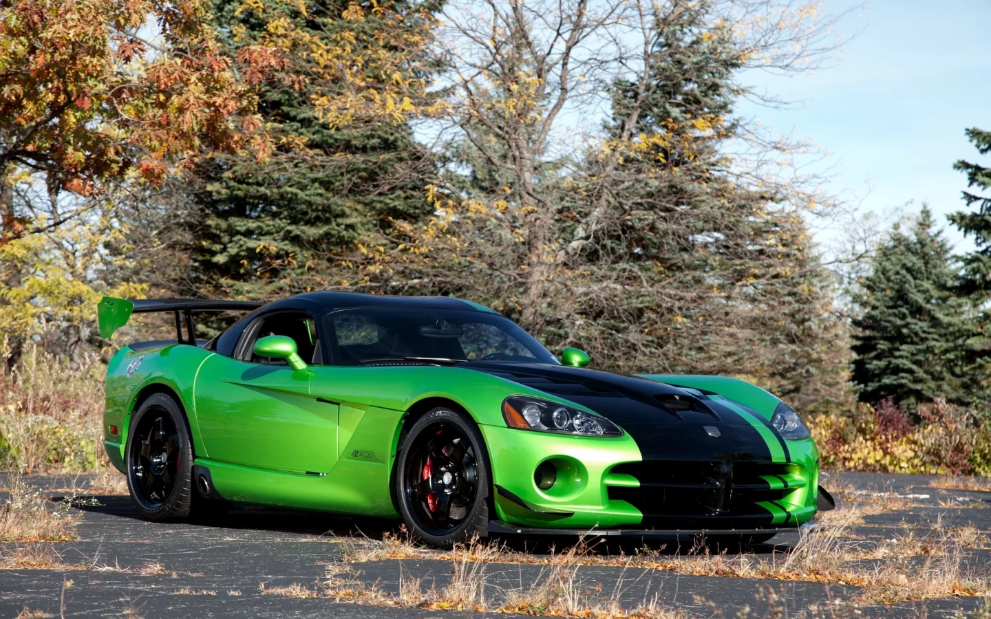 acr snakeskin edition, вайпер, green, dodge, viper, додж, зелёный, trees