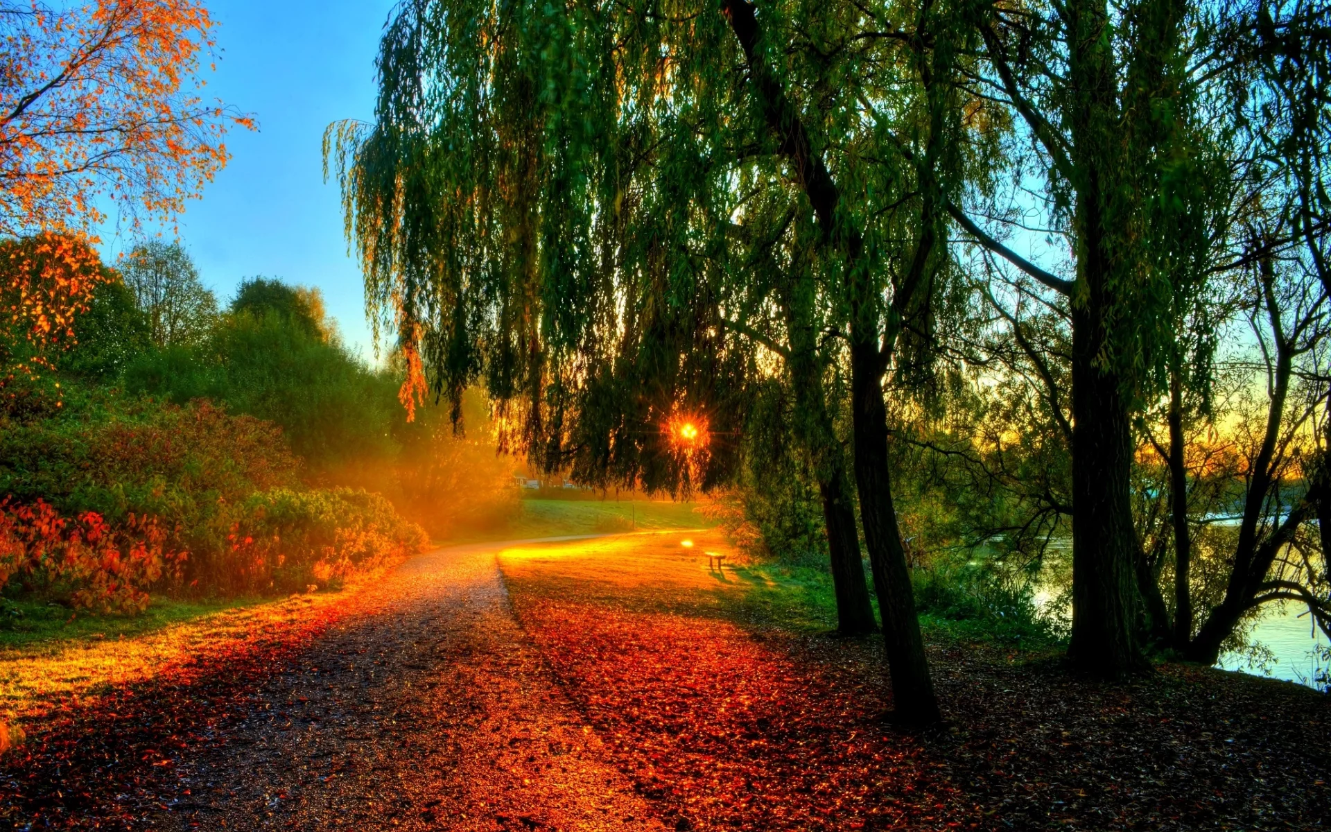 hdr, walk, sun, sunset, nature, bench, autumn, water, trees, river, forest, rays, leaves