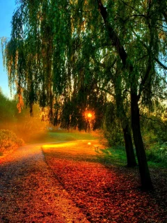 hdr, walk, sun, sunset, nature, bench, autumn, water, trees, river, forest, rays, leaves