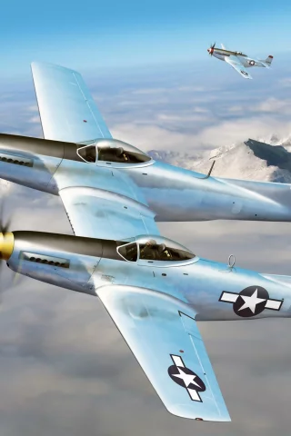 f-82, самолёты, p-51, &amp;quot;мустанги&amp;quot;, арт