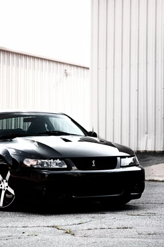 черный, sportcar, кобра, shelby, ford, ангар, mustang, мустанг, форд
