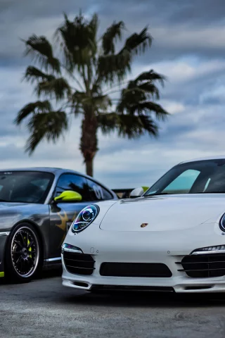 silver, front, white, sky, 911, небо, порше, серебро, palm, porsche, белый
