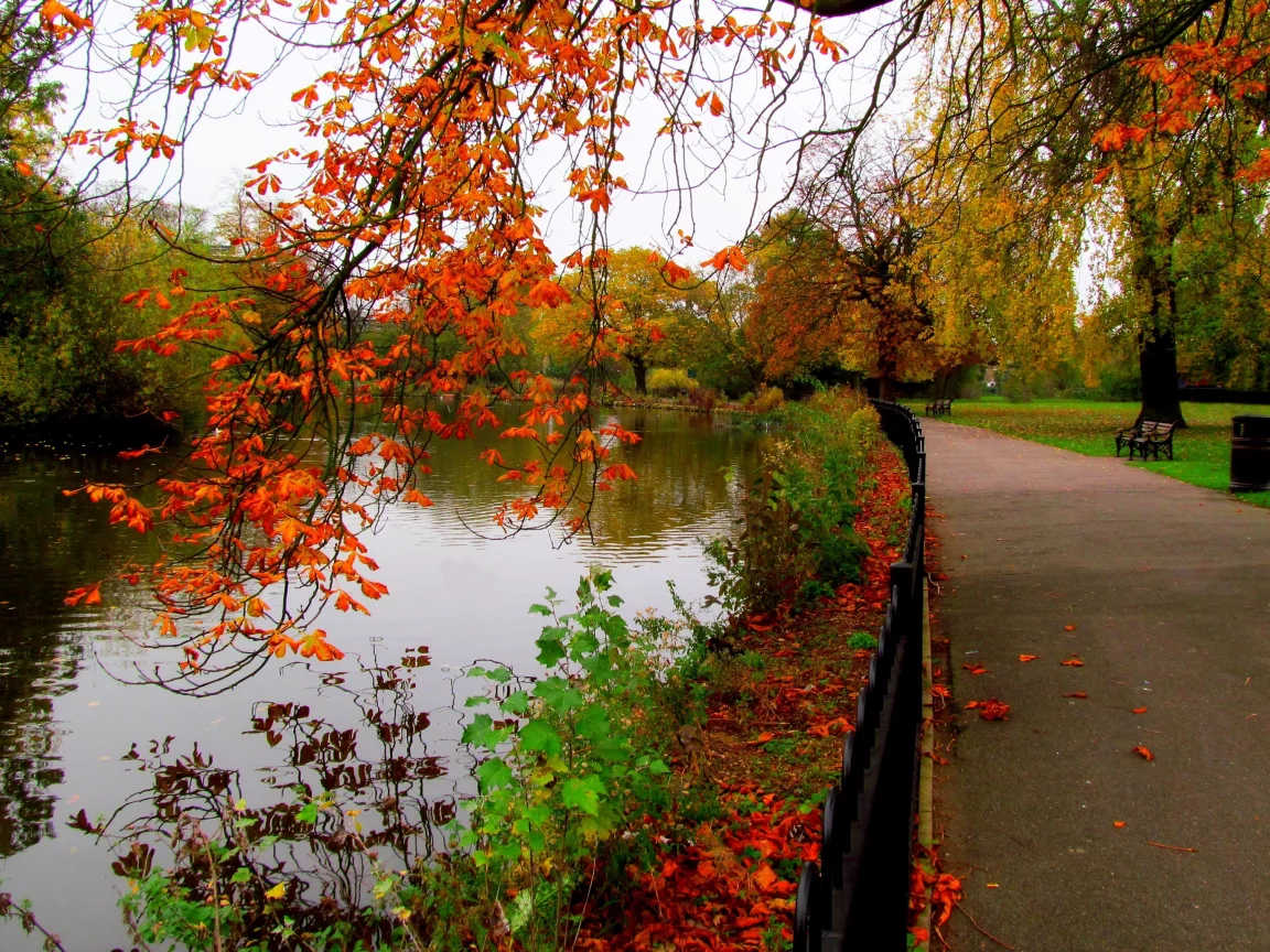 river, trees, view, bench, autumn, walk, sky, alley, water, hdr, leaves, fall, park, nature, forest
