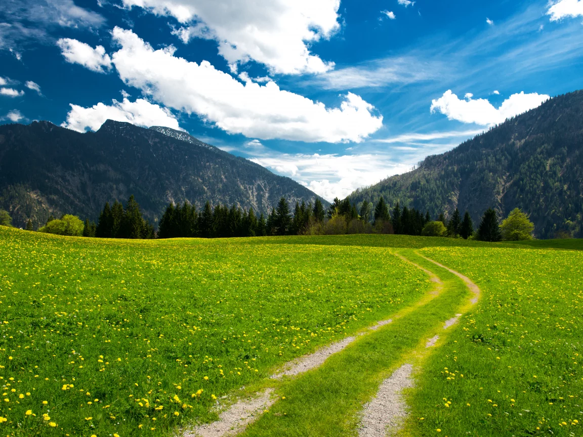 trees, mountains, clouds, beautiful nature, sky, landscape, pasture, the bavarian alps, green field