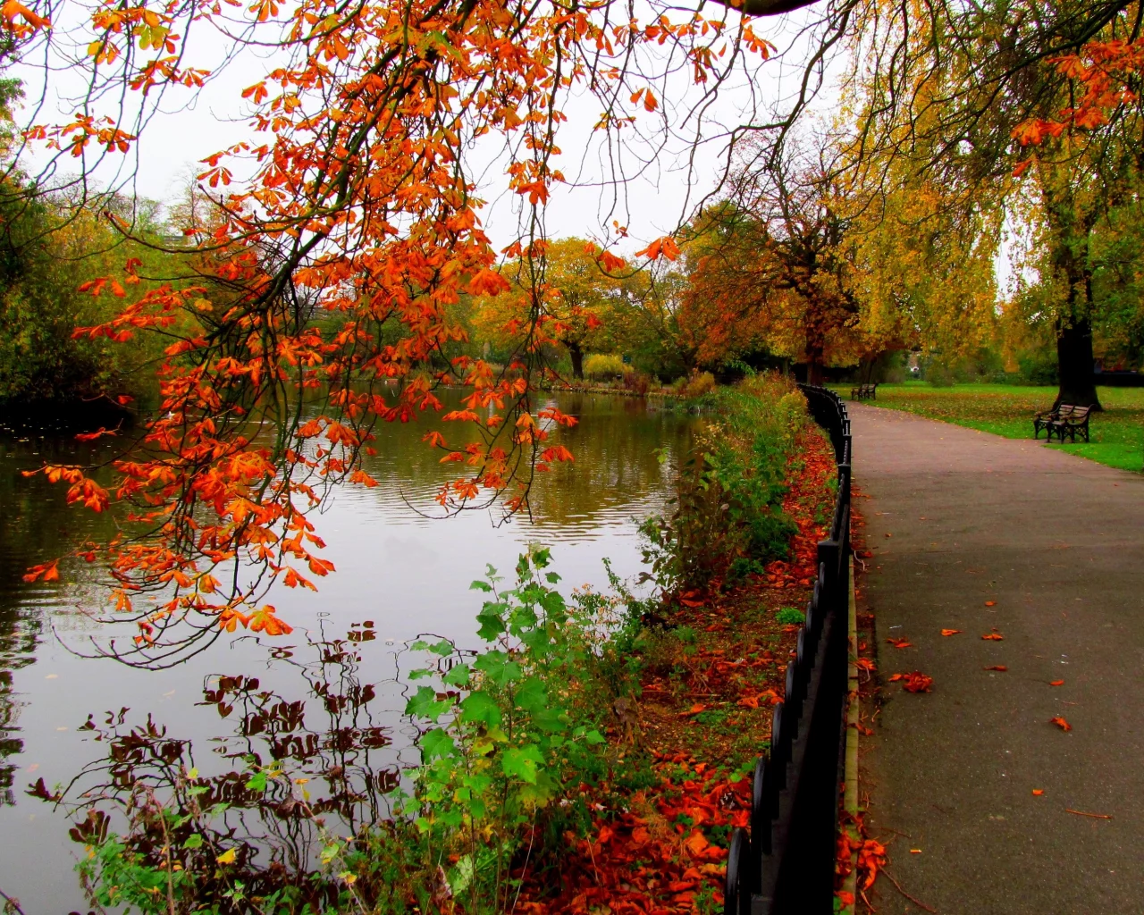 river, trees, view, bench, autumn, walk, sky, alley, water, hdr, leaves, fall, park, nature, forest