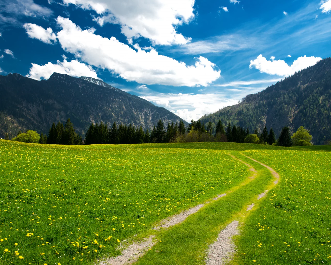 trees, mountains, clouds, beautiful nature, sky, landscape, pasture, the bavarian alps, green field