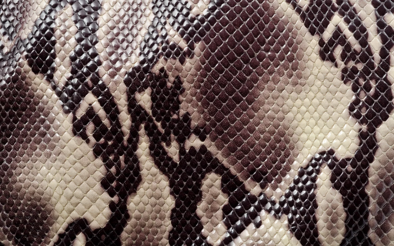 раскраска, текстура, кожа змеи, animal texture