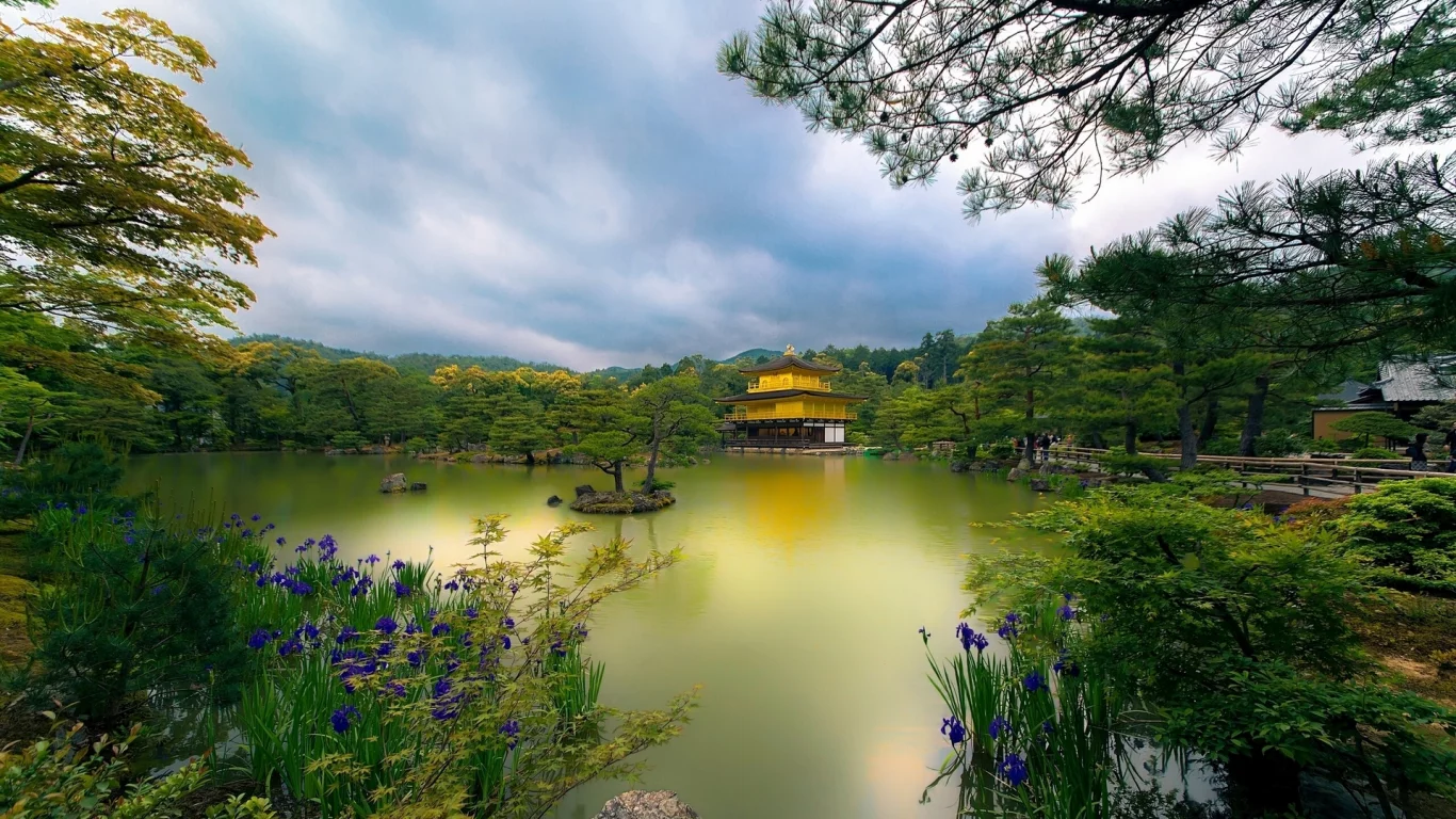 япония, golden pavilion, золотой павильон, temple, киото, kyoto, japan