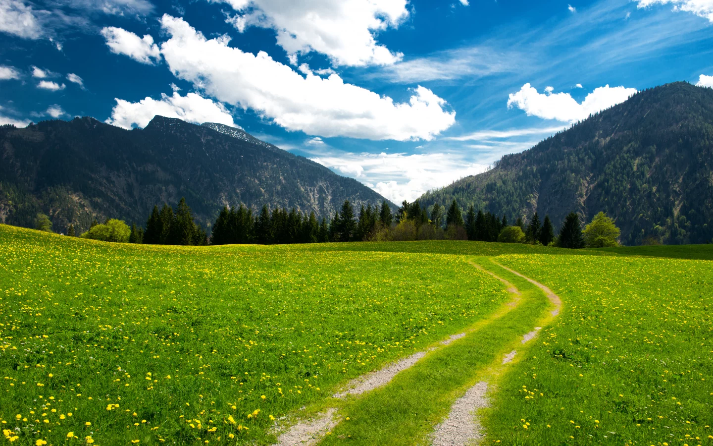 trees, mountains, clouds, beautiful nature, sky, landscape, pasture, the bavarian alps, green field