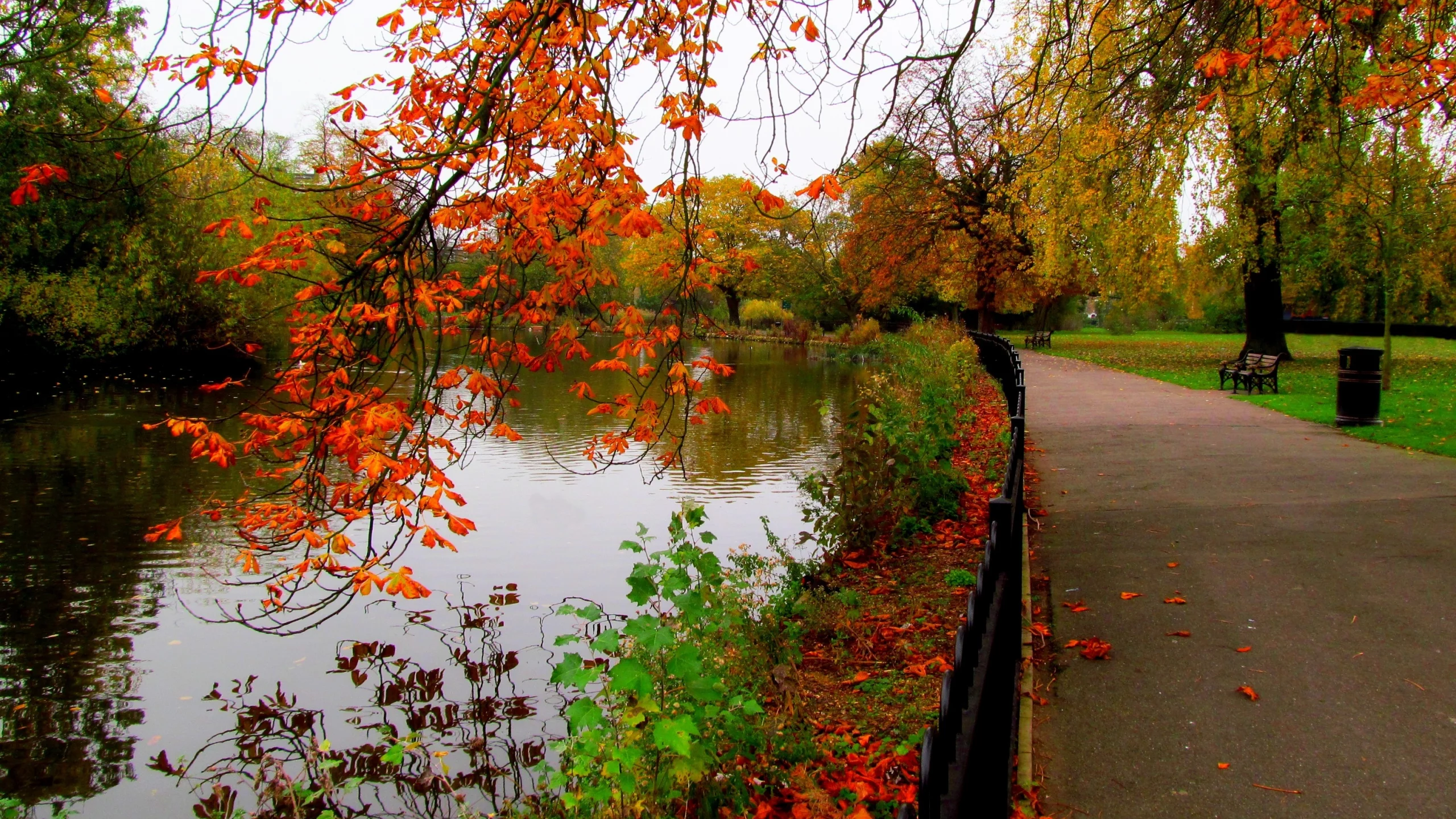 river, trees, view, bench, autumn, walk, sky, alley, water, hdr, leaves, fall, park, nature, forest