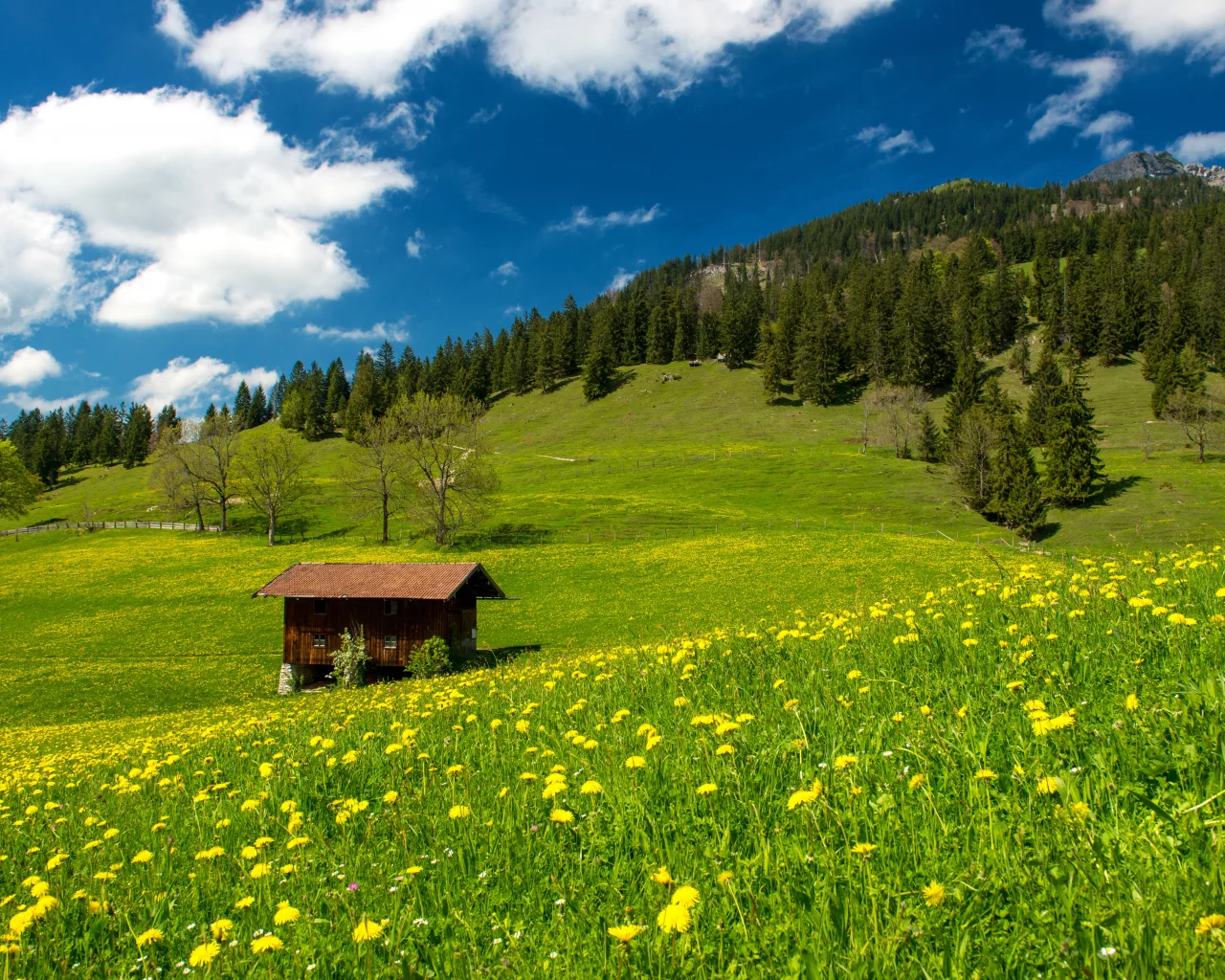 pasture in the bavarian alps, nature, clouds, green field, trees, sky, landscape, grass, germany