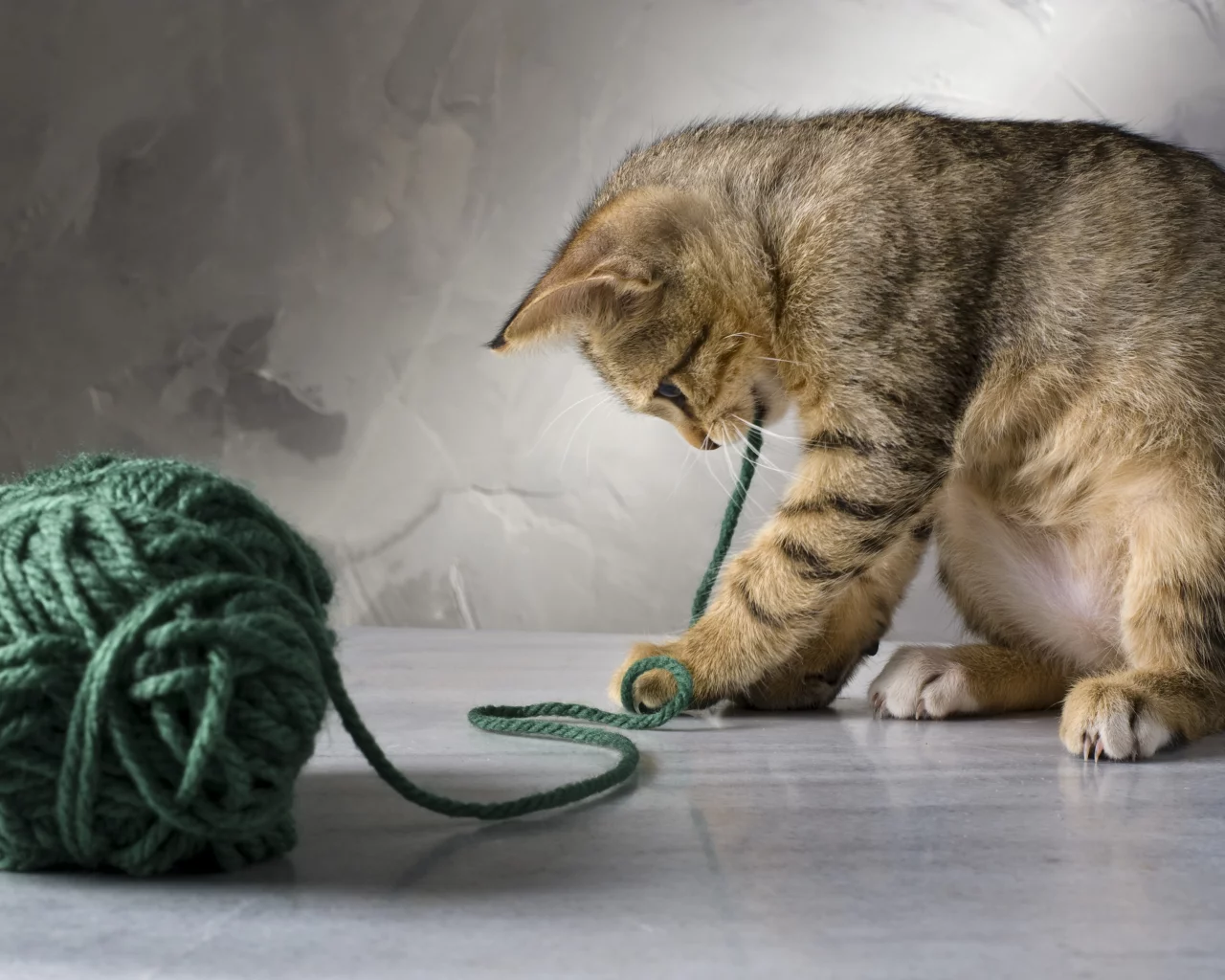 кот, играет, котенок, зеленые, кошка, полосатая, нитки