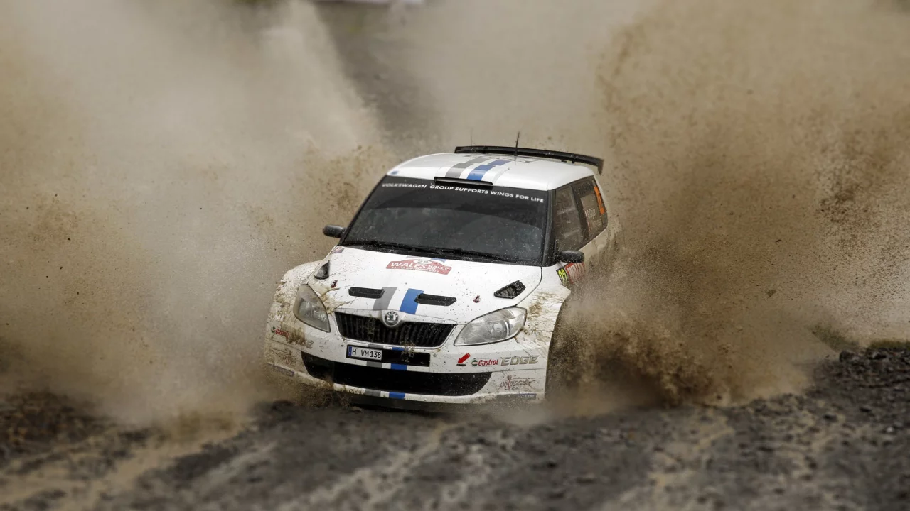 авто, fabia, skoda, ралли, rally, фабия, белый, wrc, машина, гонка