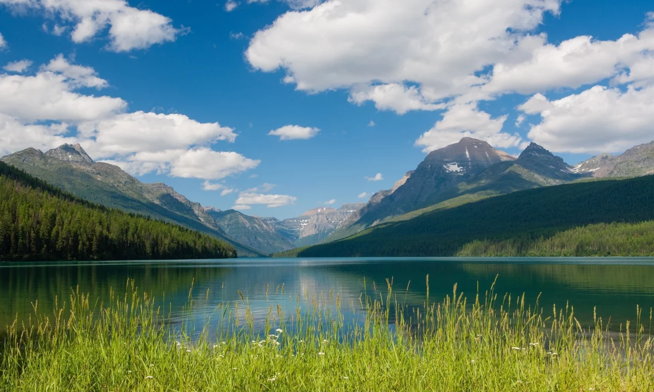 национальный парк глейшер, glacier national park, bowman lake, montana