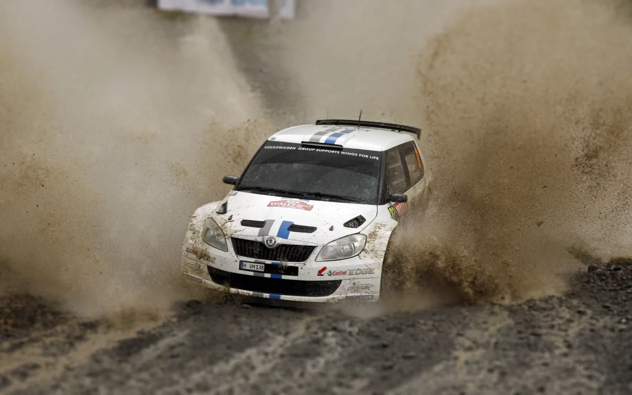 авто, fabia, skoda, ралли, rally, фабия, белый, wrc, машина, гонка
