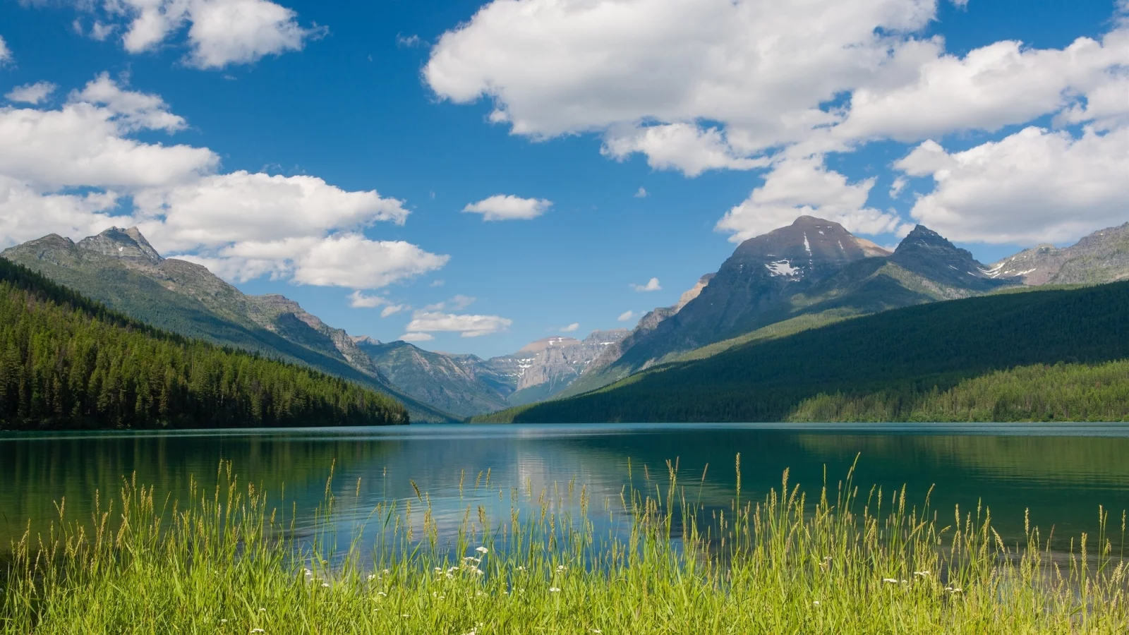 национальный парк глейшер, glacier national park, bowman lake, montana
