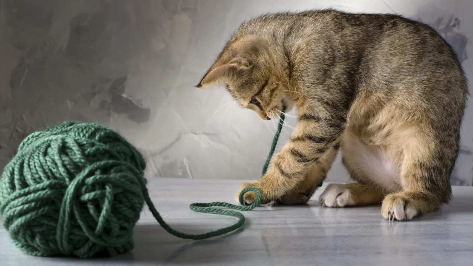 кот, играет, котенок, зеленые, кошка, полосатая, нитки