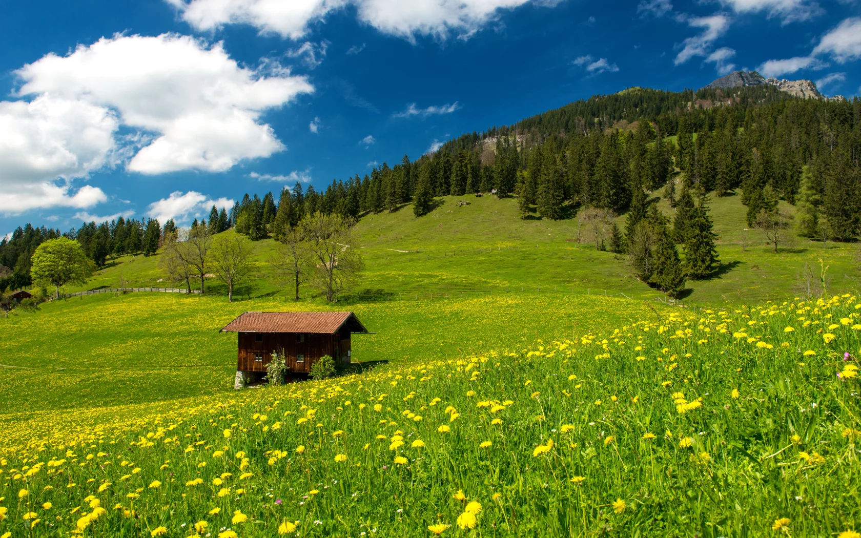 pasture in the bavarian alps, nature, clouds, green field, trees, sky, landscape, grass, germany