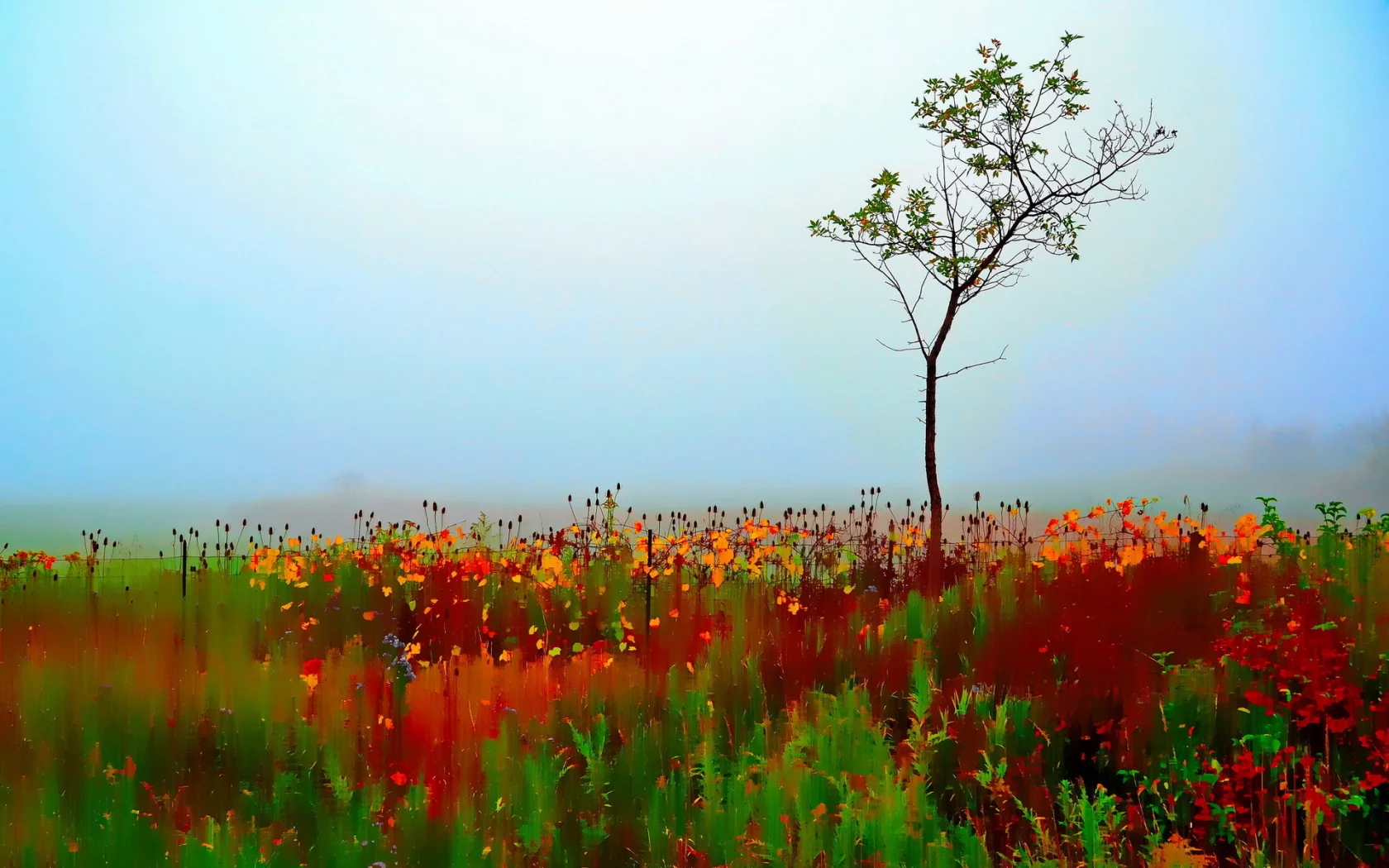 tree, autumn, single, painterly, colorful, blur, selective