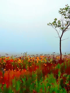 tree, autumn, single, painterly, colorful, blur, selective