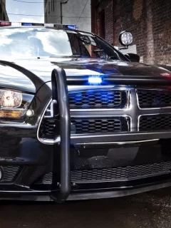 dodge, police, чарджер, pursuit, charger, додж, полиция, седан