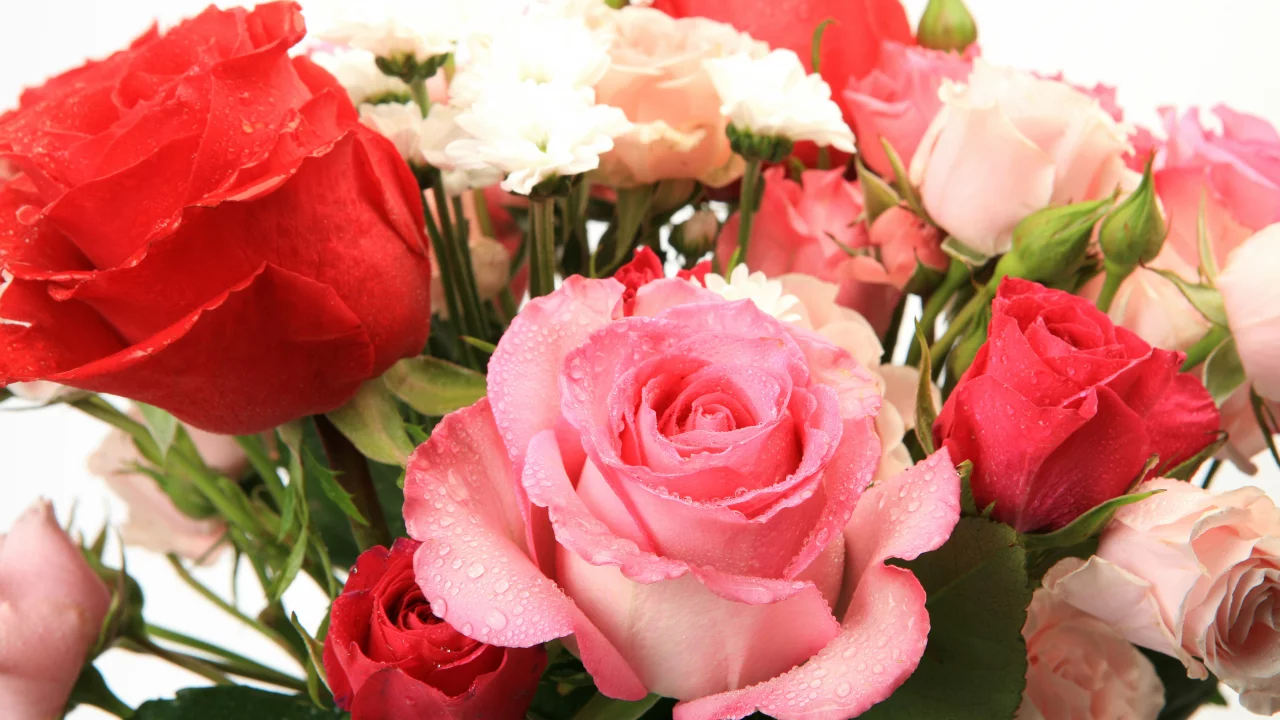flowers, букет из роз, цветы, красивая, beautiful, bouquet of roses