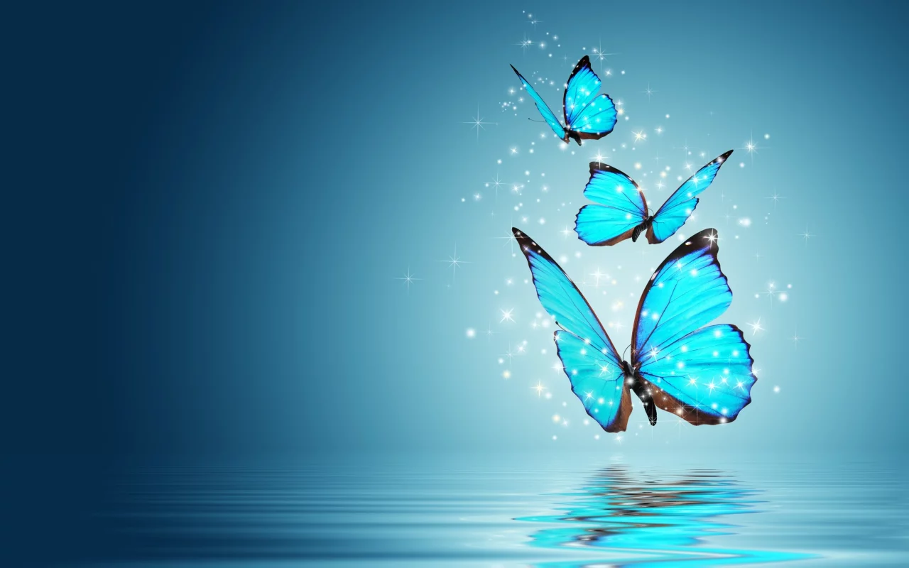 butterfly, magic, бабочка, настроения, волшебство, бабочки