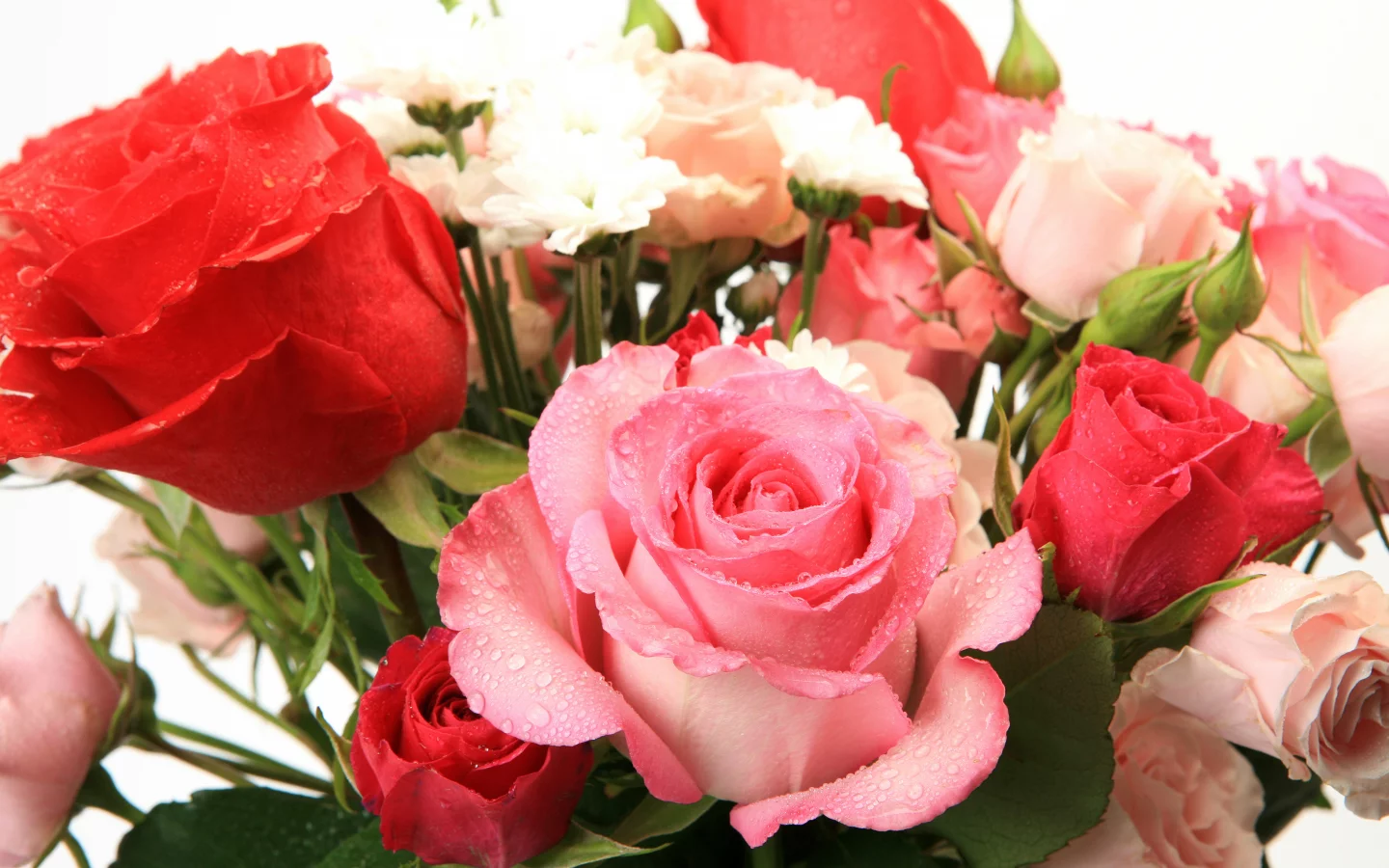 flowers, букет из роз, цветы, красивая, beautiful, bouquet of roses