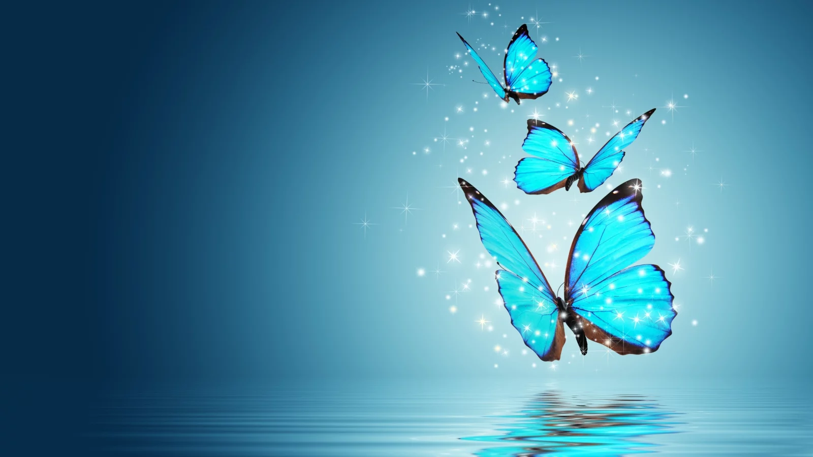 butterfly, magic, бабочка, настроения, волшебство, бабочки