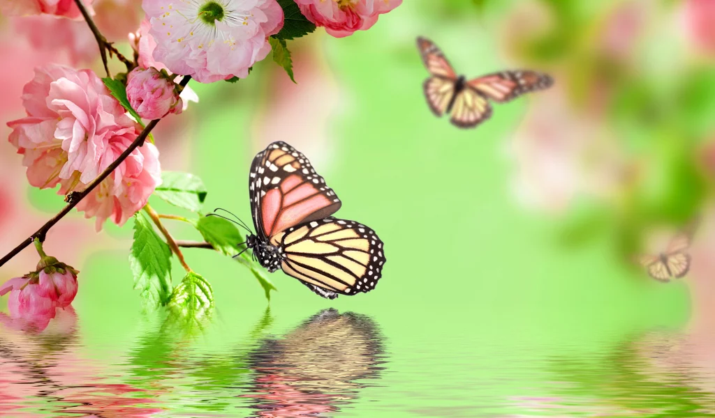 весна, spring, butterflies, цветение, pink, flowers, water, reflection, blossom