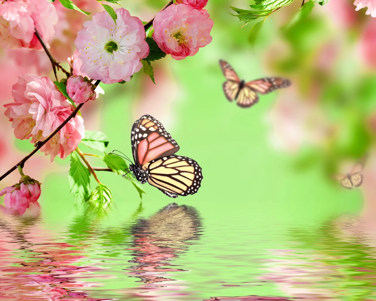 весна, spring, butterflies, цветение, pink, flowers, water, reflection, blossom