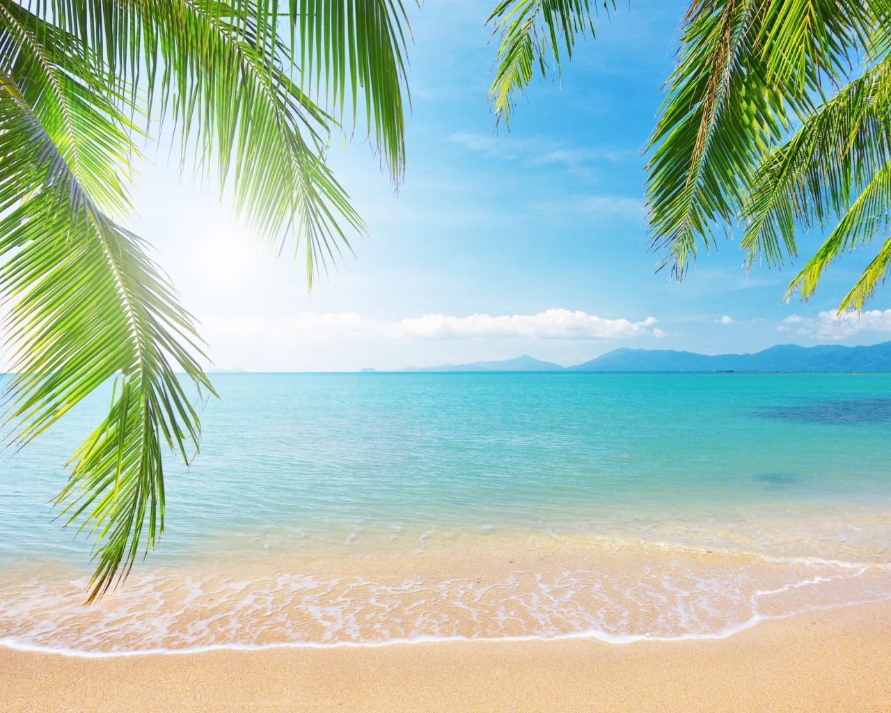 clouds, sunlight, море, sea, sky, tropical beach, landscape, branch, nature, shore, palm tree