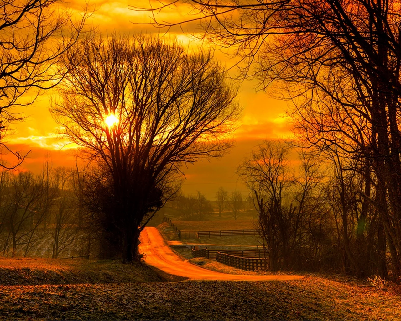 fall, road, forest, nature, sky, leaves, sunrise, colorful, sun, sunset, field, trees, path, autumn