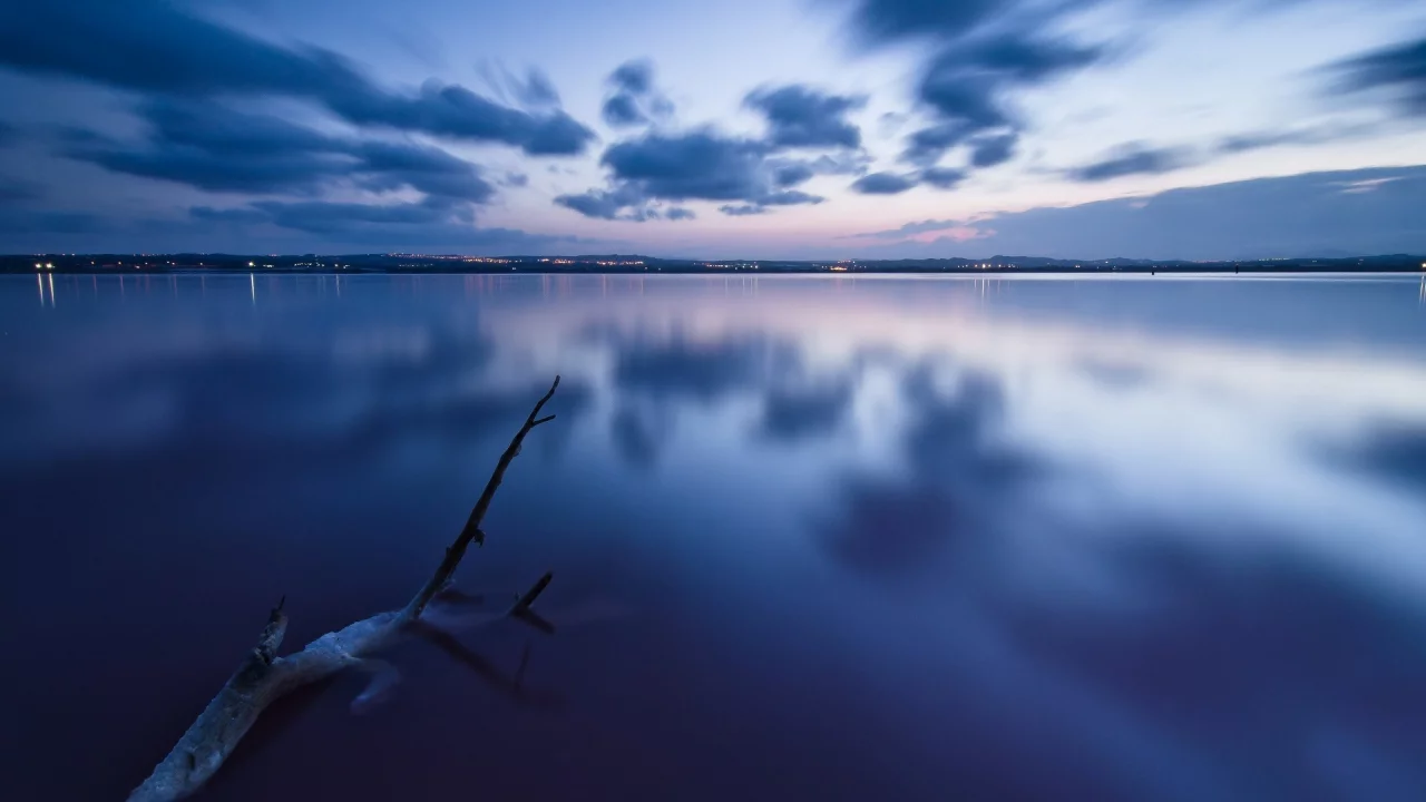 море, облака, дерево, небо, вода, природа, пейзаж
