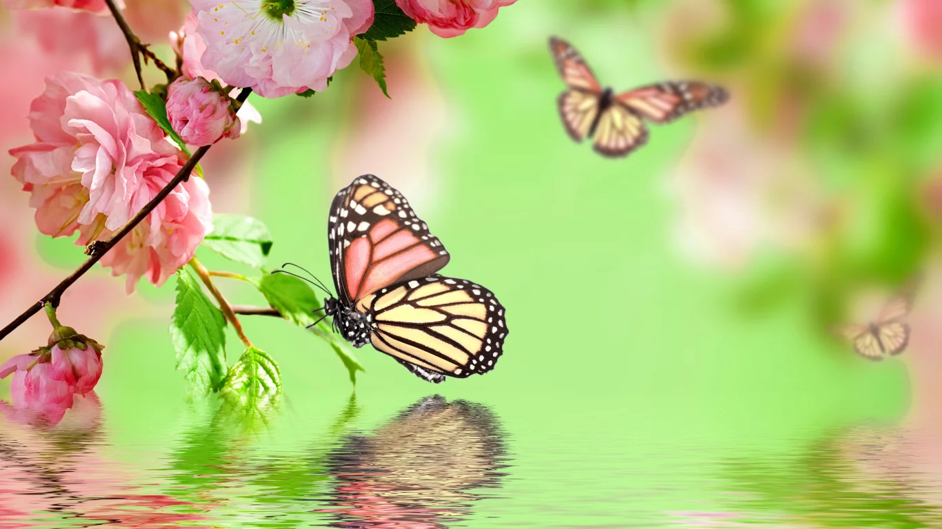 весна, spring, butterflies, цветение, pink, flowers, water, reflection, blossom