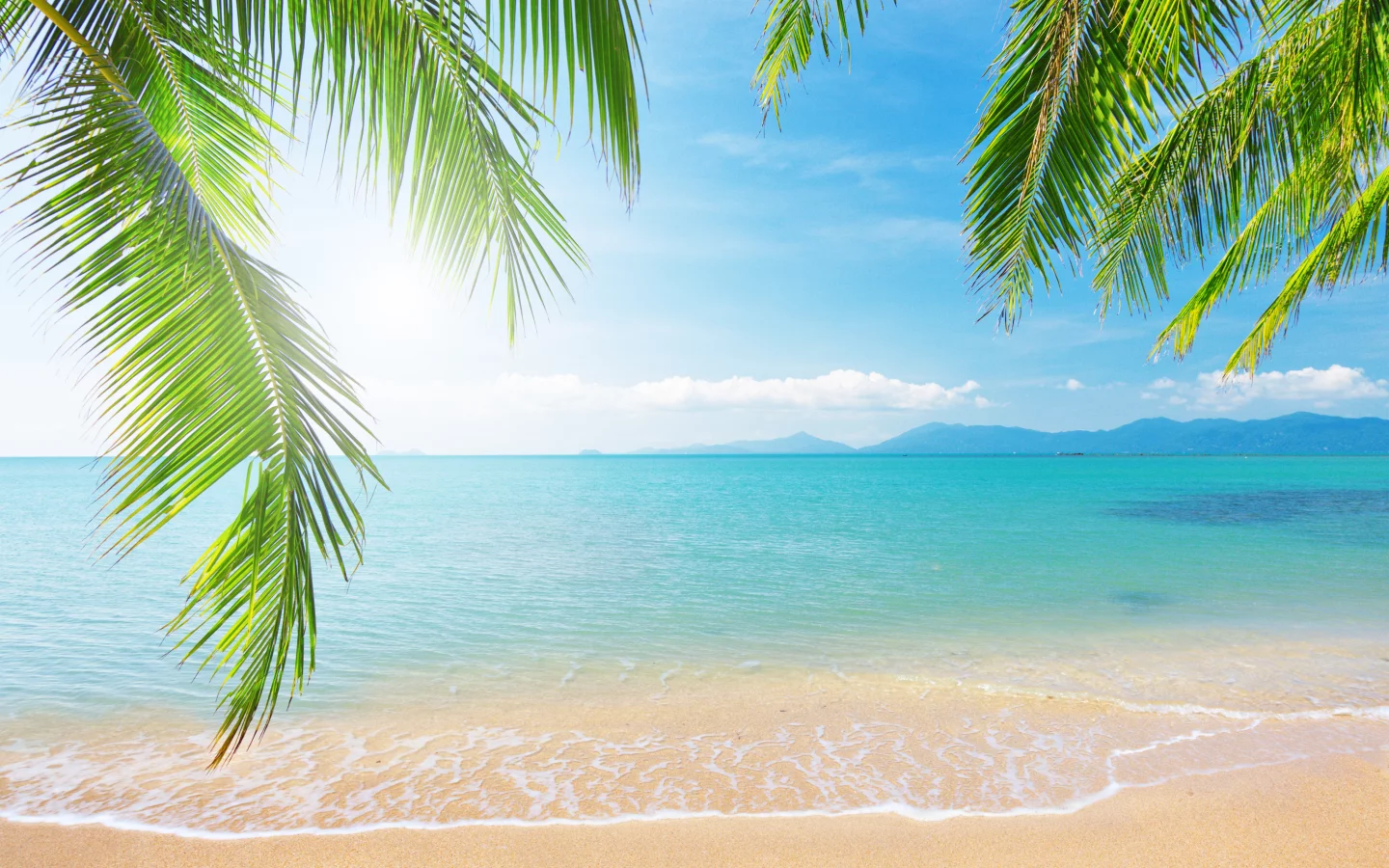 clouds, sunlight, море, sea, sky, tropical beach, landscape, branch, nature, shore, palm tree