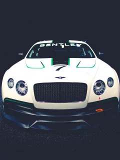 race car, benthley, континенталь, concept, gt3, front, continental, бентли