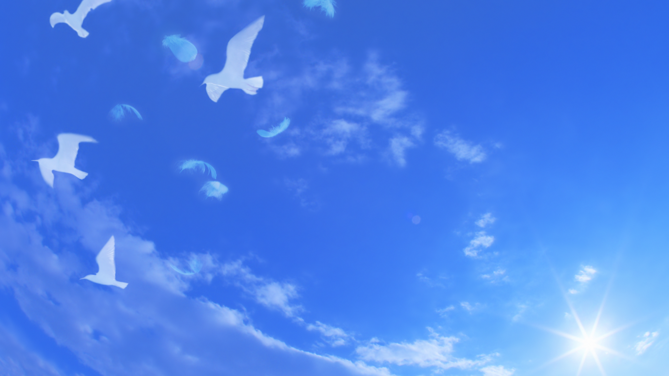 Фон небо с голубями