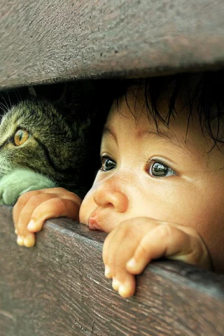 взгляд, кошка, ребёнок