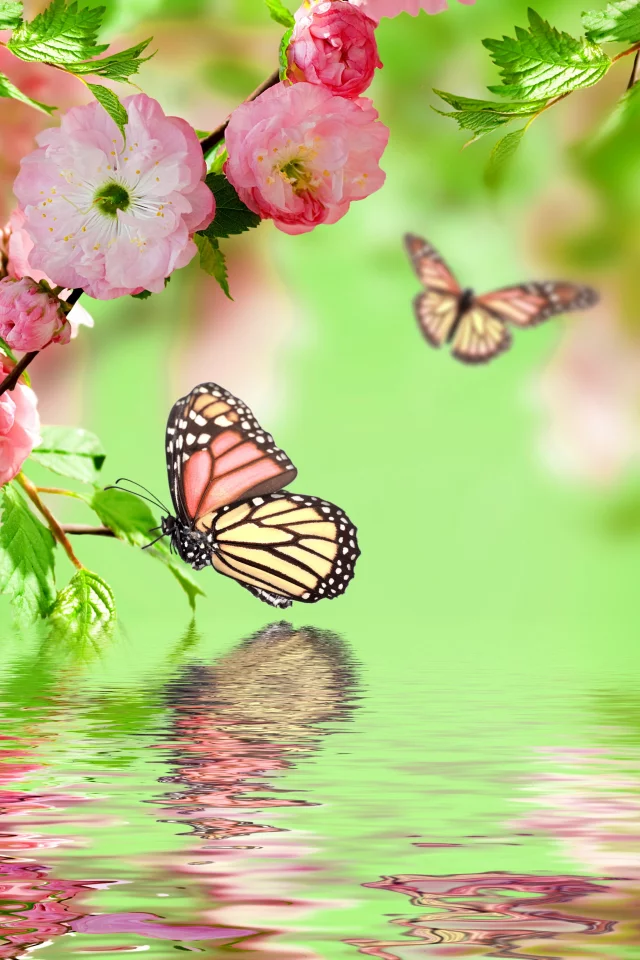 весна, spring, butterflies, цветение, pink, flowers, water, reflection, blossom