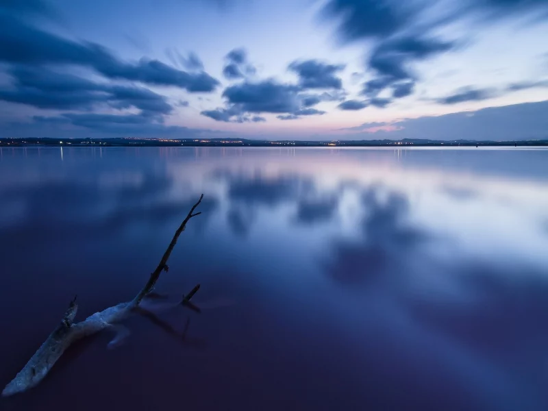 море, облака, дерево, небо, вода, природа, пейзаж
